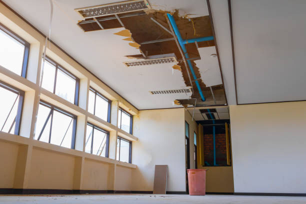 Best Water damage cleanup near me  in Lighthouse Point, FL