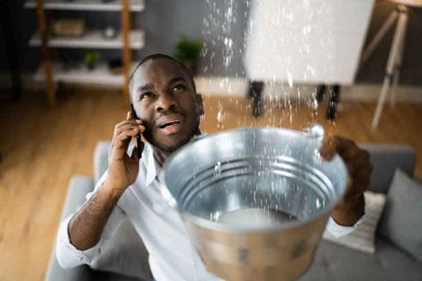 Best Professional water damage repair  in Lighthouse Point, FL