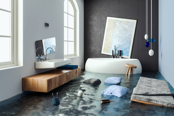 Best Local water damage restoration  in Lighthouse Point, FL