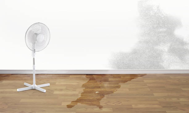 Best Fire Damage Restoration  in Lighthouse Point, FL