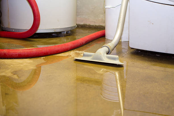 Best Water damage restoration near me  in Lighthouse Point, FL