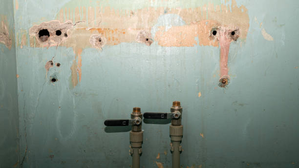 Best Flood damage cleanup  in Lighthouse Point, FL