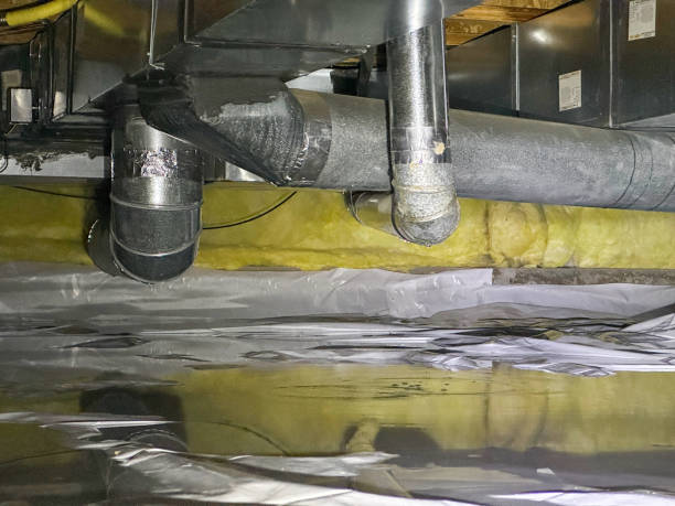Best Water damage restoration near me  in Lighthouse Point, FL