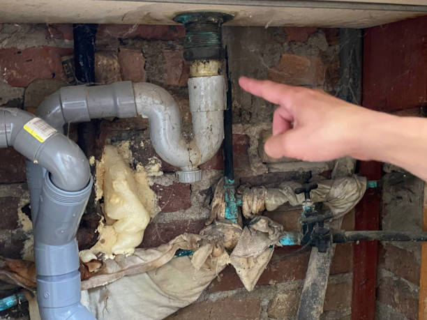 Best Flood restoration services  in Lighthouse Point, FL